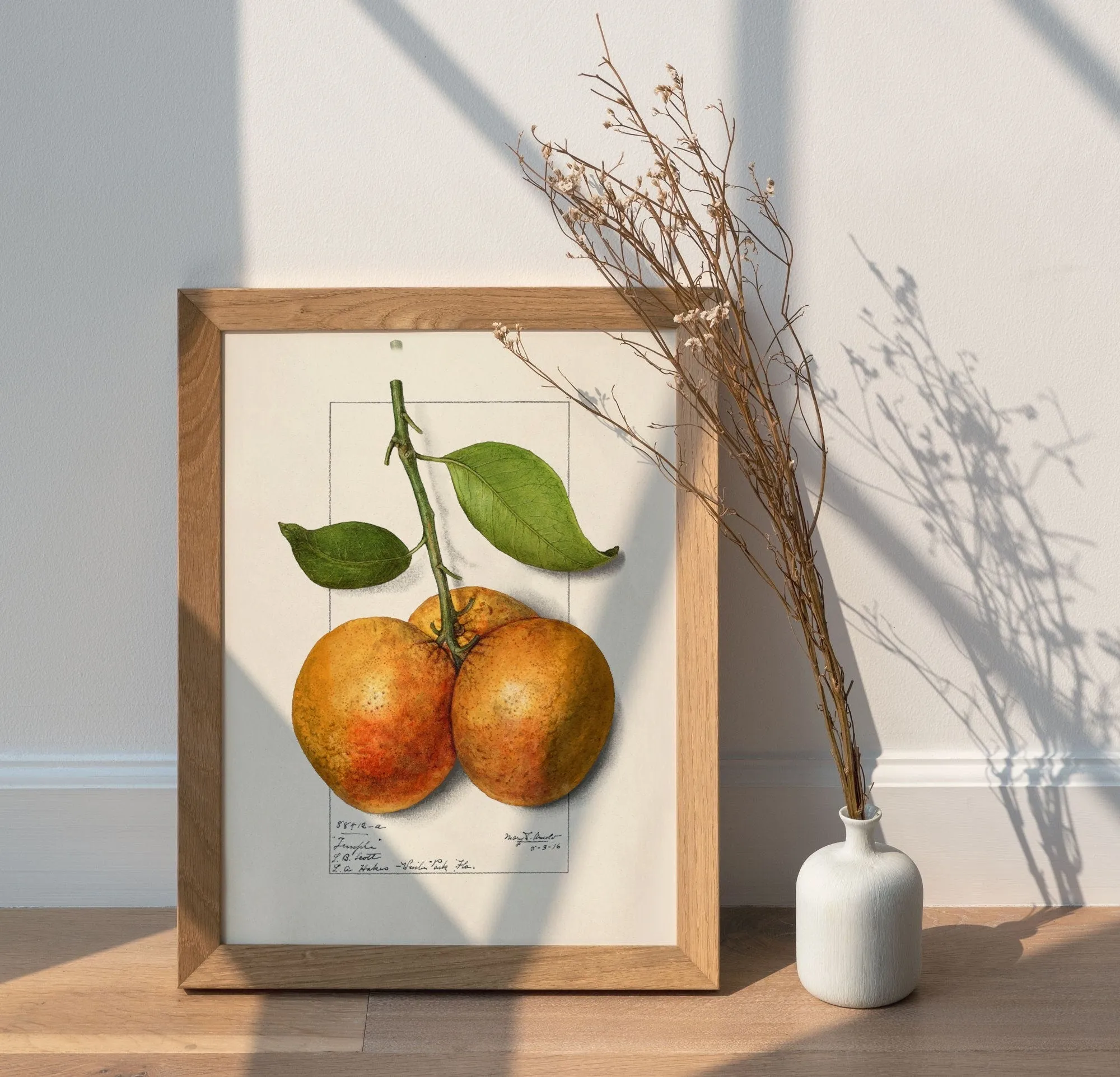 Orange Vintage Wall Art