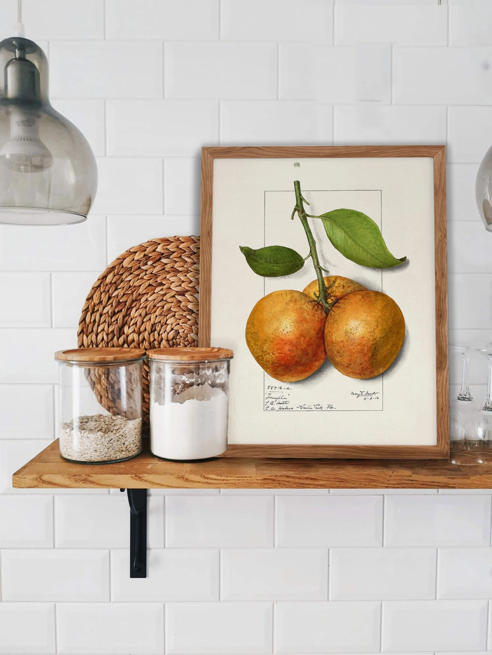 Orange Vintage Wall Art