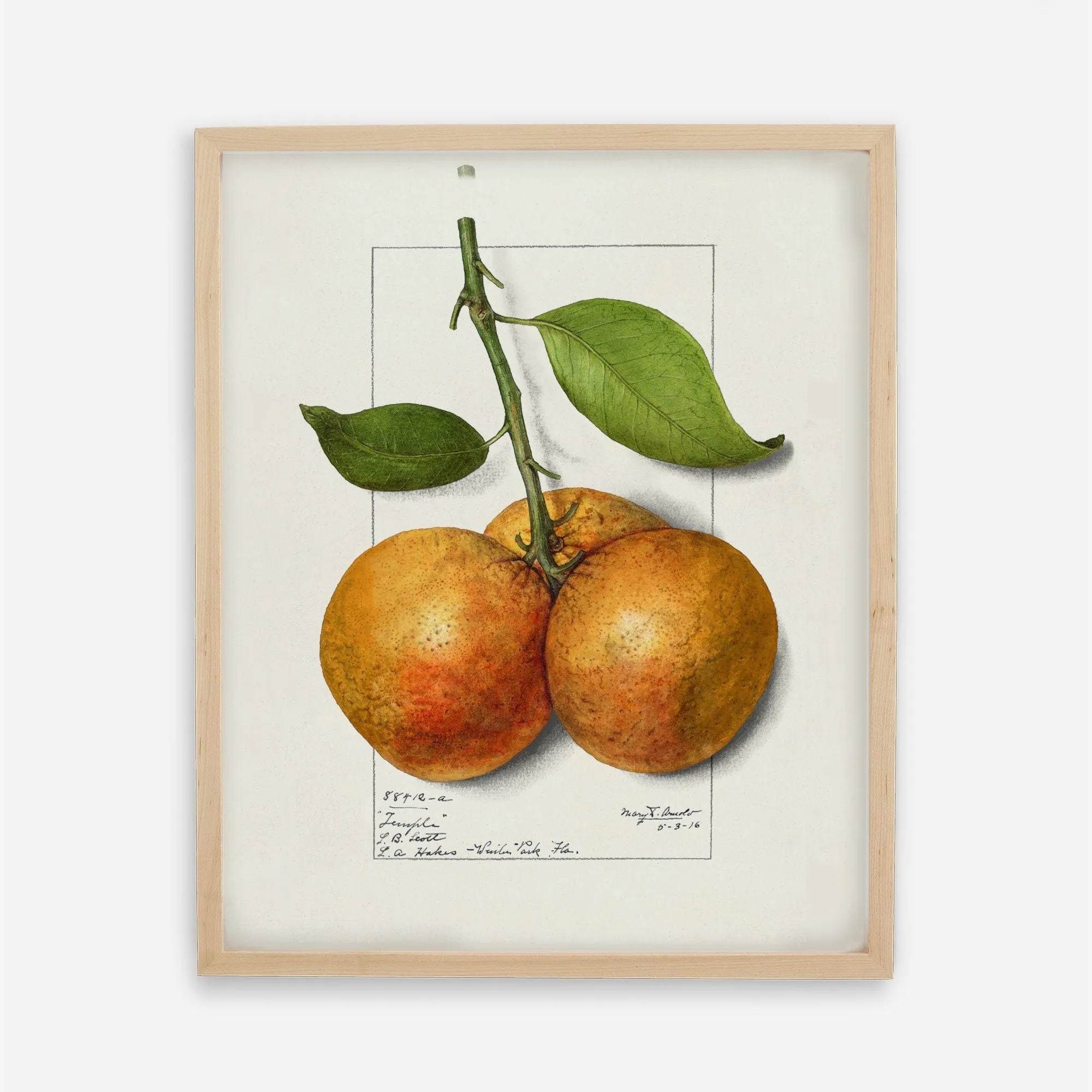 Orange Vintage Wall Art