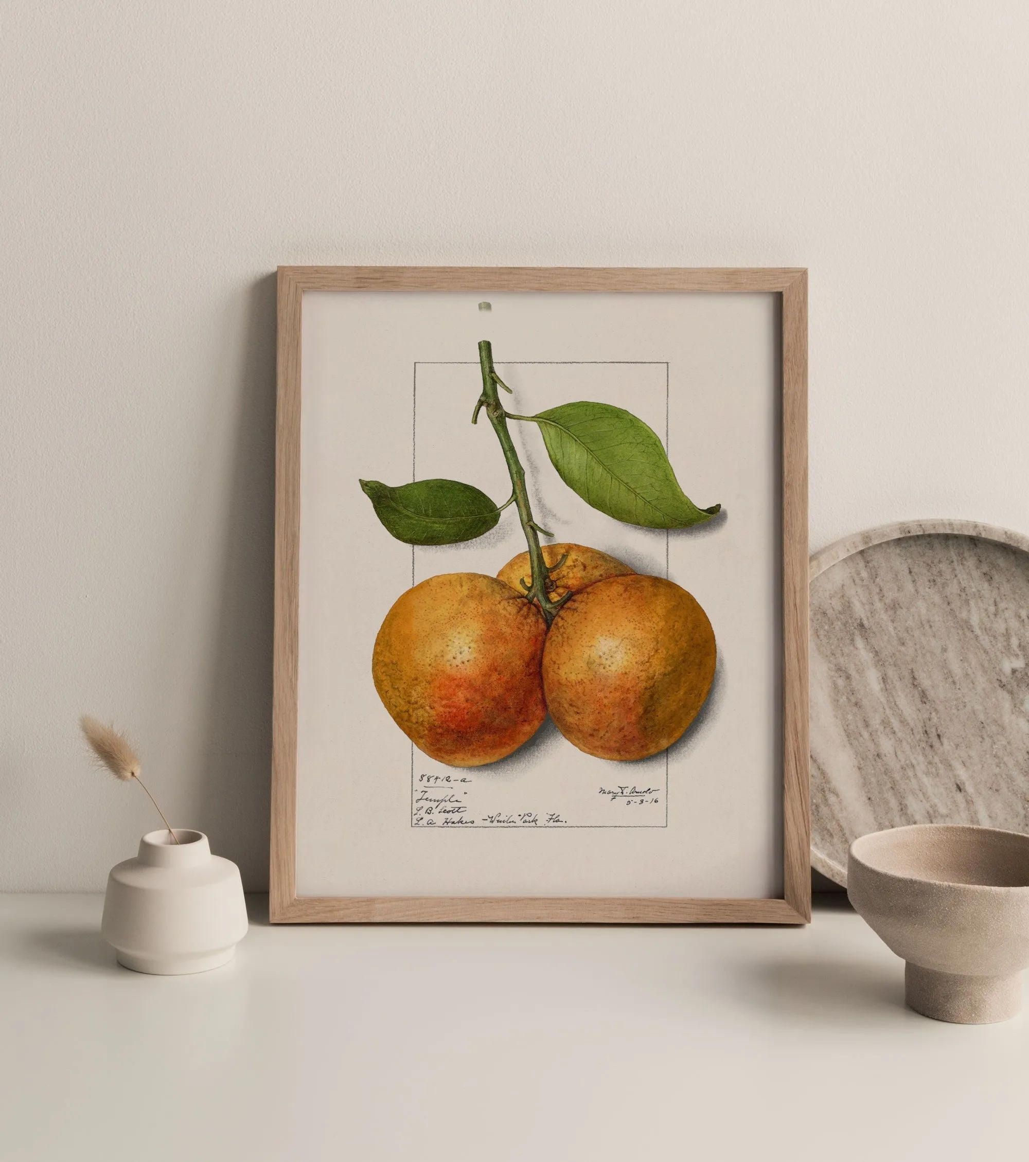 Orange Vintage Wall Art