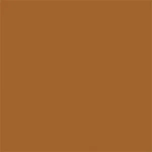 Single Knee Pant | Hamilton Brown (rinsed)